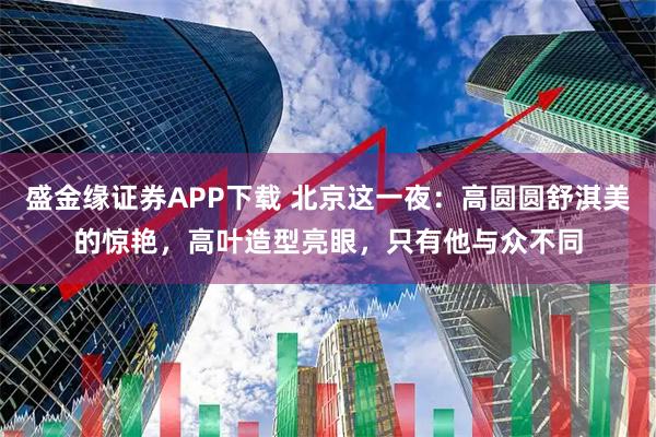 盛金缘证券APP下载 北京这一夜：高圆圆舒淇美的惊艳，高叶造型亮眼，只有他与众不同